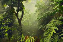 Джунгли Амазонки / Ботанический сад Мадрида .Тропические растения .  Влажно и сыро.