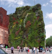 Вертикальный сад / Нахожится это чудо в Мадриде. Недалеко от музея &quot; Del Prado&quot; Рядом современный выставочный зал &quot;El Forum!