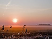 Утро / За деревней ранним утром