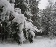Меланхолія / Беларусь, зима 2008го