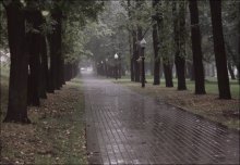 Парк / Дождь