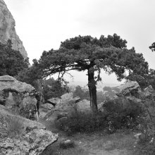 У горы Кошка / Kremia_2009