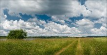 Панорама дороги в большой город... / Заднепровье. Июль 2009 года. Полдень.