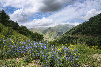 Лето в горах / Кавказ
