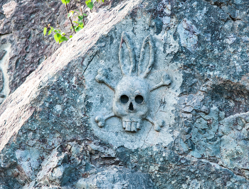 скала зайцев / скала зайцев