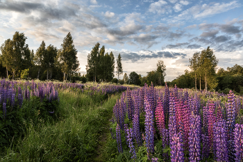 Совсем недавно было лето... / Совсем недавно было лето...