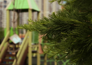 Скоро зима / ***