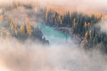 Туманное утро на реке / Снято на Алтае осенью 2024 года. На фото река Аргут
