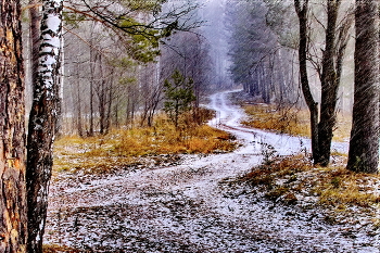 *Ненастье.** / *Томская область.**