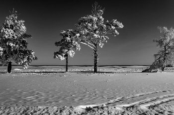 У дороги / ***