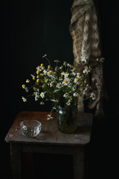 С ромашками... / ***