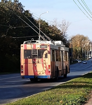  / Только его хвост и видели...