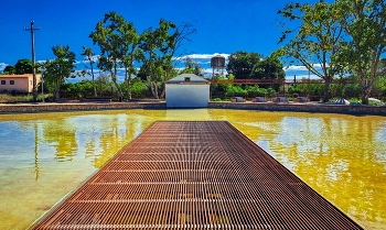 &nbsp; / Reus - Bassa Nova - Baix Camp