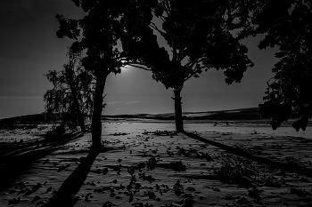 Под луной / ***