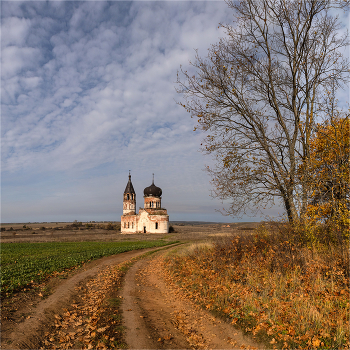 Рядом только кладбище / Троицкая церковь, с.Анненково Нижегородская область.