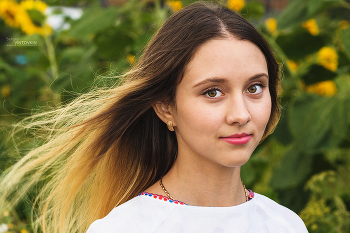 Девушка в подсолнухах / ***