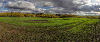 Осенние поля / ***