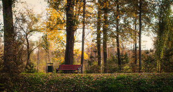 лавочка в осенних Баташах / Тула