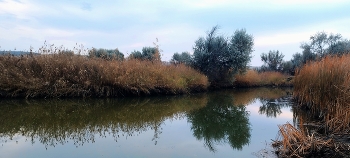 вода / отражение