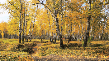   / Чарующая осень. Как жаль, что она так коротка...