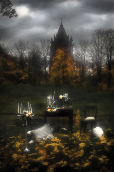 Царскосельские парки 1 / монокль