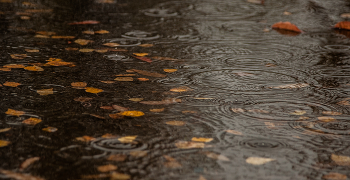 осень , дождь / капли в воде