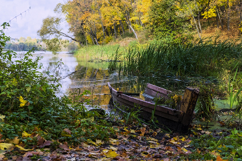Осенняя грусть / Сюжеты осени