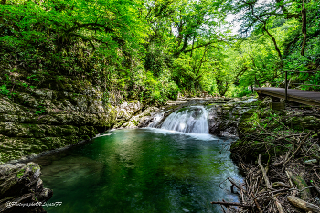 Ольгинский водопад / Описание:
Сфотографировано: в Абхазии, Кодорское ущелье
Фотограф: https://vk.com/vvlopatoff