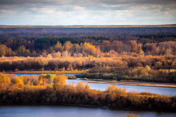 Яркие моменты осени / Пасмурная погода, но в какой-то момент солнце осветило своими лучами часть золотых деревьев. Получился яркий и красивый момент. Город Киров.