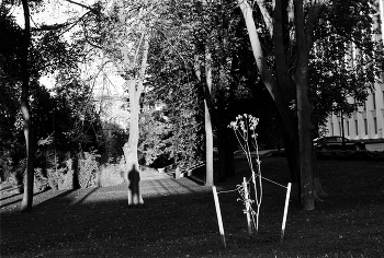 тенебросо / от итал. tenebroso — мрачный, тёмный