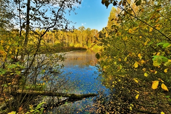 "Еще прозрачен воздух без дождей ..." / Сентябрь ...