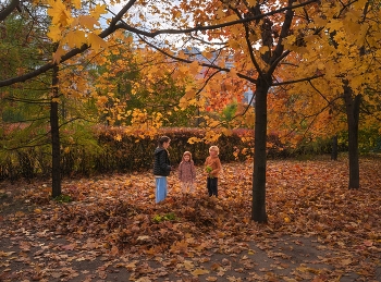 Осень на Ходынке / Москва, Ходынка