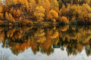 отражение. / утро на водоеме
