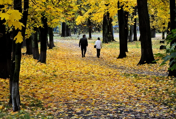 &nbsp; / В городском парке...