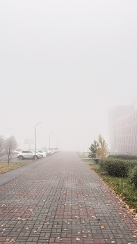 Туман осенний / Город словно исчез