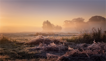 Сегодня будет тепло... / ***