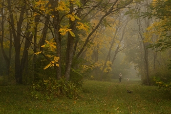 Туманное утро / Прогулка