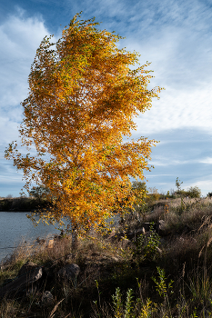 Северный ветер. / ***