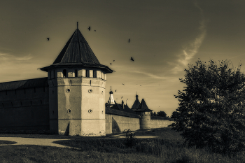 murmuratio / Спасо-Евфимиев монастырь