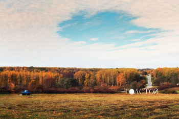 Золотая осень / Ясная поляна