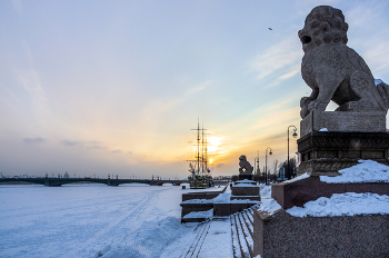 Львы Ши-Цза на Петровской набережной. / ***