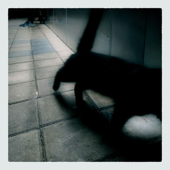 Ночные встречи / чреваты последствиями