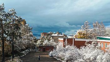 Привет от зимы / Снег пришел!