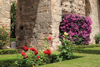 Испанские зарисовки / ***