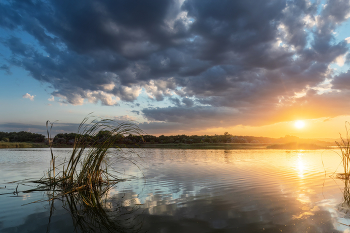 Летний вечер будет сниться нам / ***