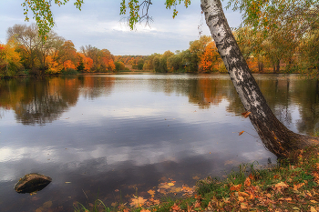 Осенние зарисовки. / Ясная Поляна Тула