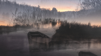 Жизнь вокруг / ***