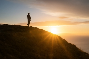 Here Comes the Sun / ***