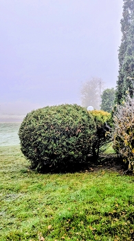 &nbsp; / *первыймороз*