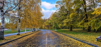 Прогулка в осень / Карелия, Петрозаводск, 2025 год